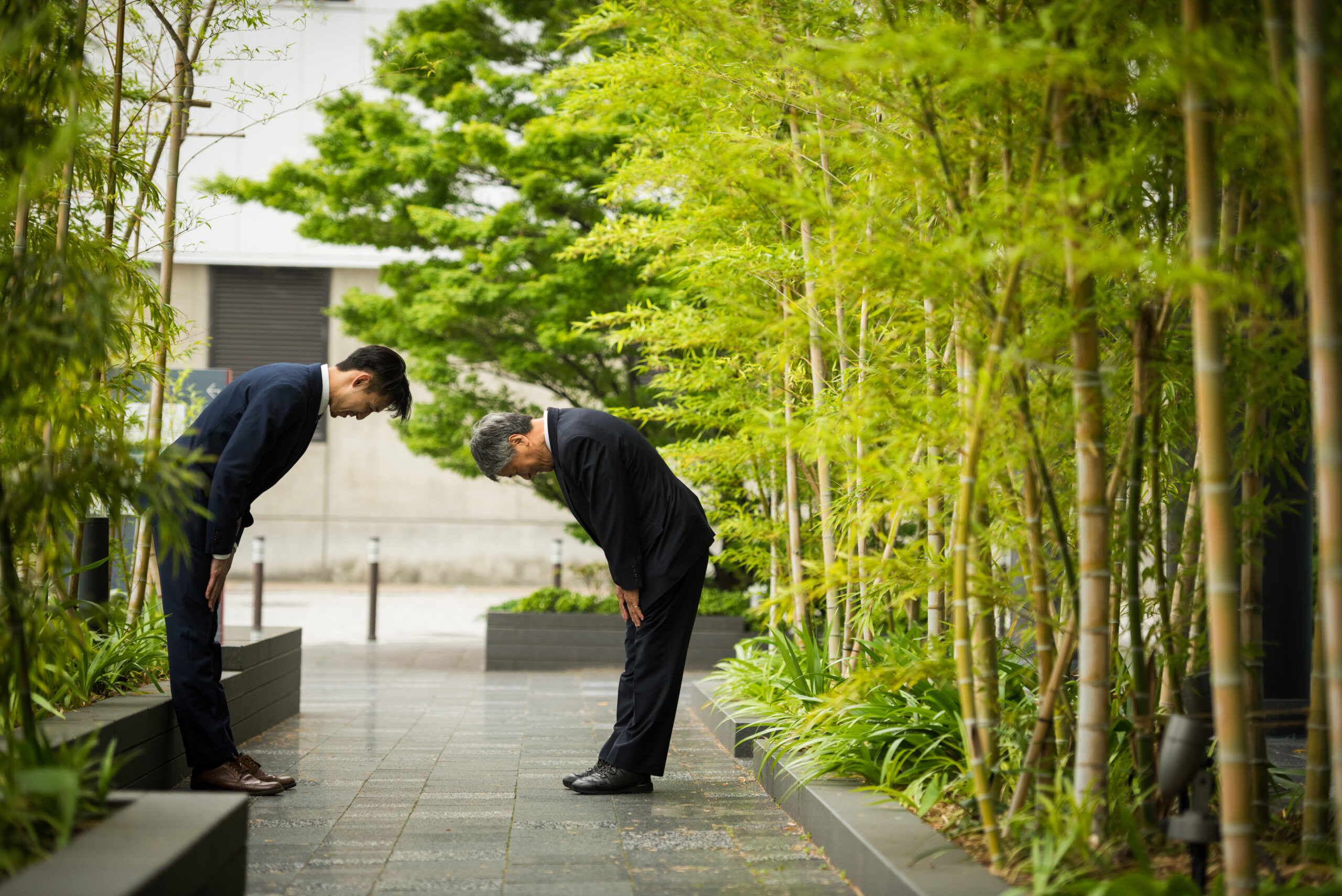 Two business men bow to each other respectfully in a bamboo-lined avenue.